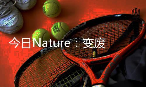 今日Nature：變廢為寶，橡膠回收新技術！ – 材料牛