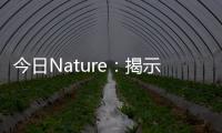 今日Nature：揭示玻璃形成的奧秘—玻璃液中籠狀物的形成 – 材料牛