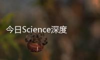 今日Science深度剖析金屬鹵化物鈣鈦礦太陽能電池 – 材料牛