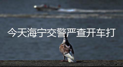 今天海寧交警嚴(yán)查開(kāi)車(chē)打電話！已有不少人被罰！