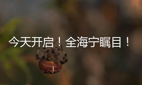 今天開啟！全海寧矚目！連續六年火爆的這件事，來了！