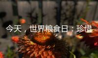 今天，世界糧食日：珍惜每一粒勞動而來的糧食