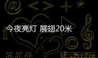今夜亮燈 展翅20米 “大蜻蜓”停立中山公園