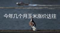 今年幾個月玉米漲價達往常一年漲幅