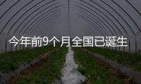 今年前9個月全國已誕生9個百億大盤,但銷冠還是它……
