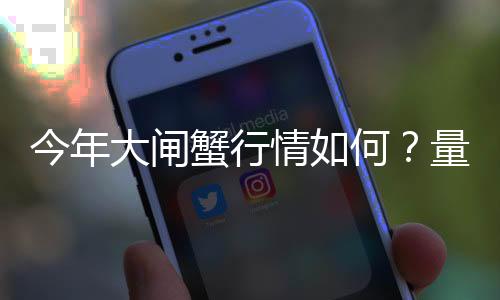 今年大閘蟹行情如何？量增價落，中等個頭受歡迎