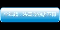 今年起，法國(guó)寵物店不再出售貓狗