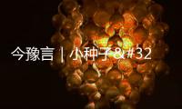 今豫言｜小種子 大“芯”愿
