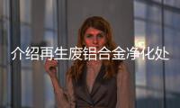 介紹再生廢鋁合金凈化處理