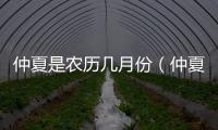 仲夏是農歷幾月份（仲夏是農歷幾月）