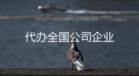 代辦全國(guó)公司企業(yè)