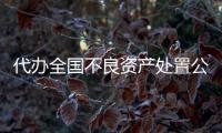 代辦全國不良資產處置公司費用