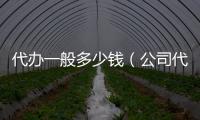 代辦一般多少錢（公司代辦需要多少錢）