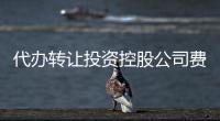 代辦轉讓投資控股公司費用