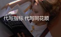 代寫指標(biāo) 代寫同花順 通達(dá)信指標(biāo)公式