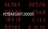 代寫MGMT20005、代做Decision Analysis程序