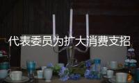 代表委員為擴(kuò)大消費(fèi)支招：降低消費(fèi)刷卡手續(xù)費(fèi)