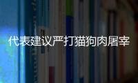 代表建議嚴打貓狗肉屠宰銷售和消費 呼吁建立食物安全追溯制度！