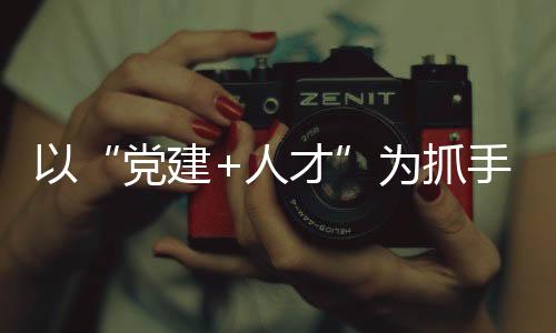 以“黨建+人才”為抓手  促進民營經濟高質量發展