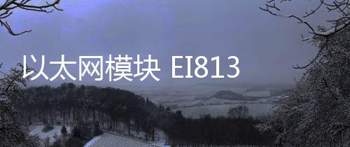 以太網模塊 EI813F