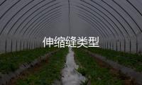 伸縮縫類型