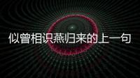 似曾相識燕歸來的上一句無可奈何花落去