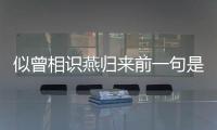 似曾相識(shí)燕歸來前一句是什么生肖，似曾相識(shí)燕歸來前一句是什么