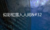 似彩虹落入人間 江蘇鹽城三千萬(wàn)株郁金香爭(zhēng)奇斗艷