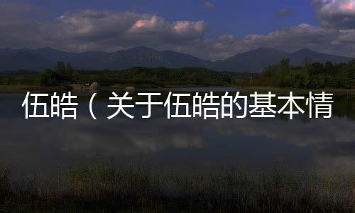 伍皓（關(guān)于伍皓的基本情況說明介紹）