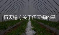 伍天錫（關于伍天錫的基本情況說明介紹）