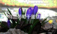 伏特加葡萄干蛋糕的做法