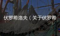 伏羅希洛夫（關(guān)于伏羅希洛夫的基本情況說明介紹）