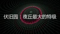 伏舊園：夜丘最大的特級園