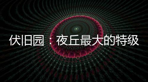 伏舊園：夜丘最大的特級(jí)園