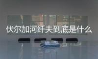 伏爾加河纖夫到底是什么情況?