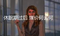 休眠期過后 煤價何去何從?