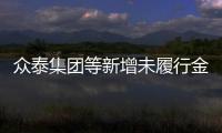 眾泰集團(tuán)等新增未履行金額超8億元