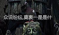 眾說紛紜,莫衷一是是什么意思（莫衷一是是什么意思）