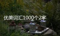 優(yōu)美詞匯1000個2字（優(yōu)美詞匯）