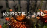 優質糧食工程“六大提升行動”方案印發 提出這些任務