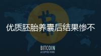 優質胚胎養囊后結果慘不忍睹！成功與否不止看質量