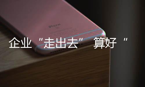 企業“走出去” 算好“風險賬”