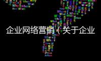 企業網絡營銷（關于企業網絡營銷的基本情況說明介紹）