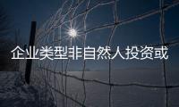 企業(yè)類型非自然人投資或控股的法人獨資什么意思啊