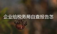 企業(yè)給稅務(wù)局自查報告怎么寫（稅務(wù)局自查報告怎么寫）