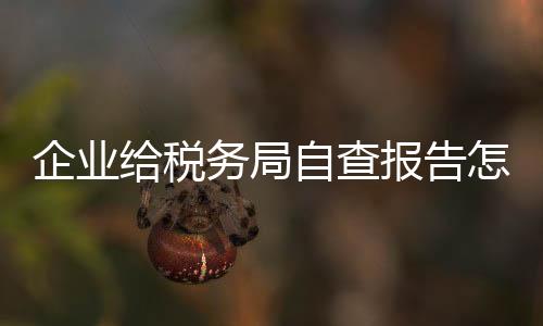 企業給稅務局自查報告怎么寫（稅務局自查報告怎么寫）