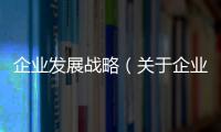 企業發展戰略（關于企業發展戰略的基本情況說明介紹）
