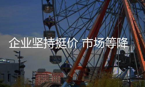 企業堅持挺價 市場等降價 這一局誰贏？,行業資訊