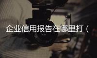 企業信用報告在哪里打（企業信用報告）