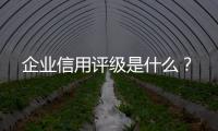 企業信用評級是什么？